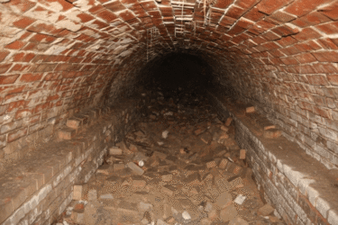 Pozarevacki lagumimi