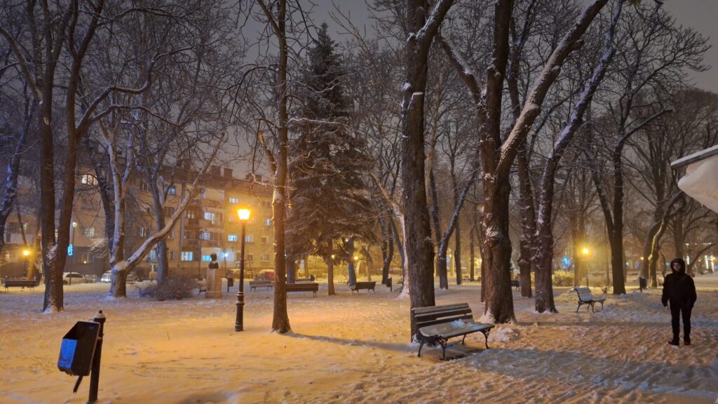 Sneg zima park vreme