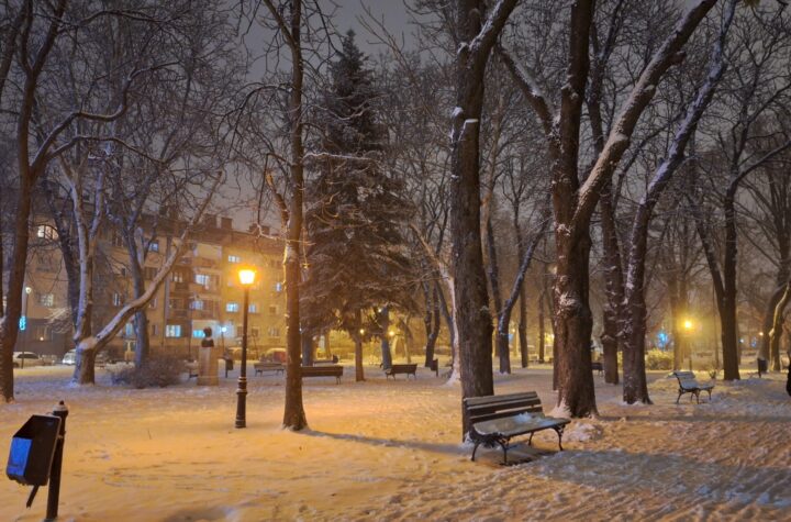 Sneg zima park vreme