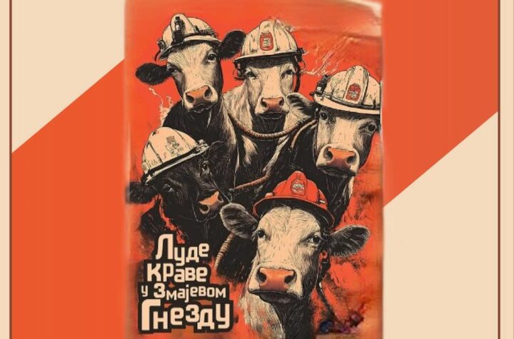 FB IMG 1771857324870(1)