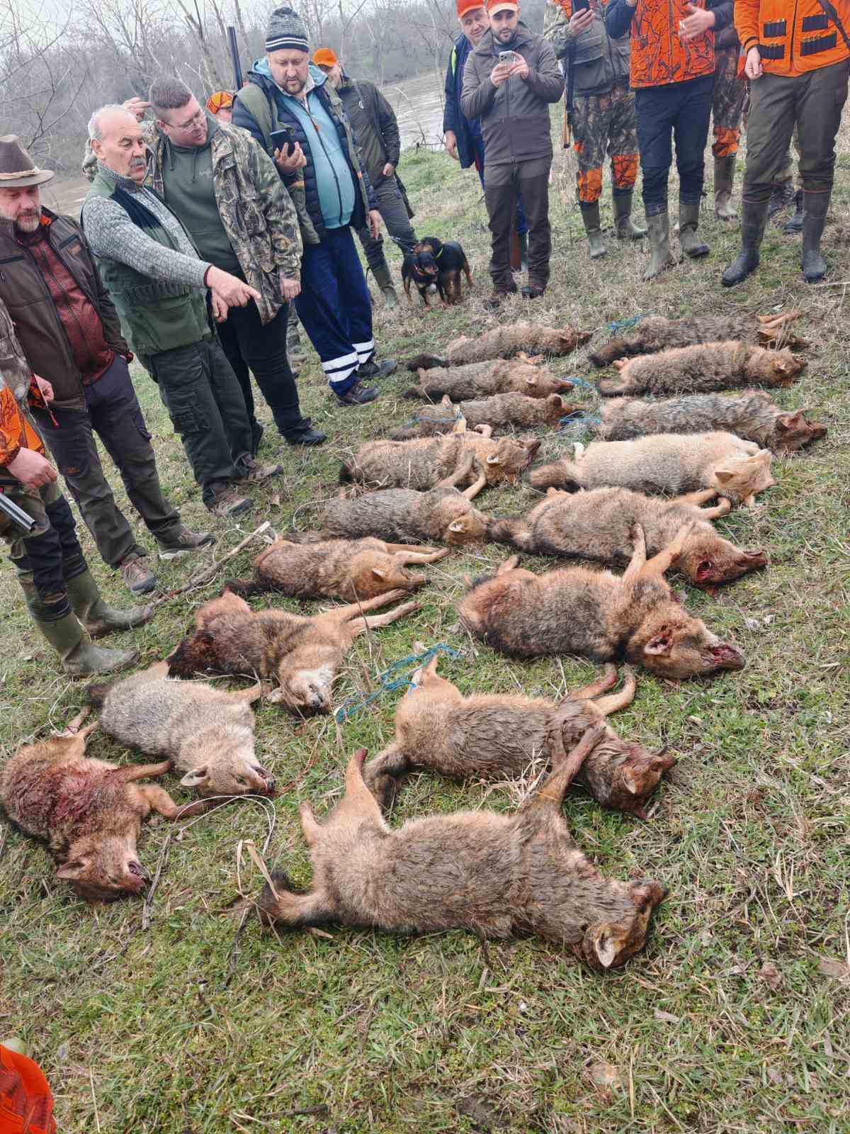 IMG bd2a6537948d3ea14233721e66222925 V