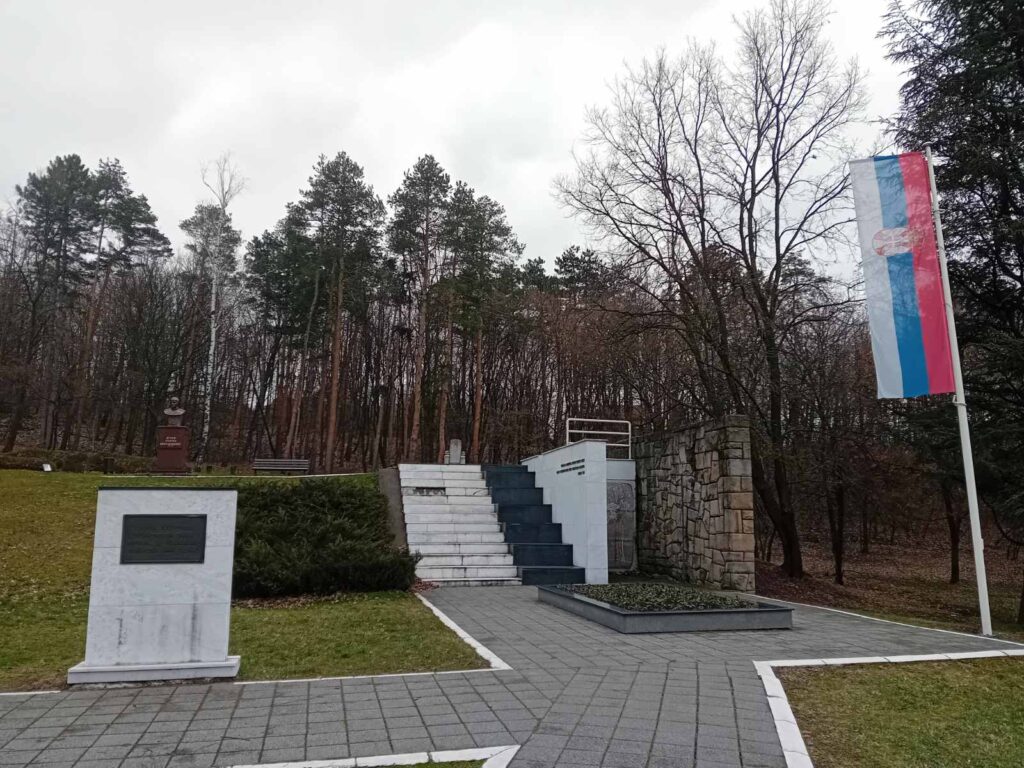 Pozarevac cacalica vreme zima oblacno