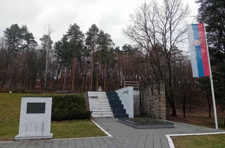 Pozarevac cacalica vreme zima oblacno