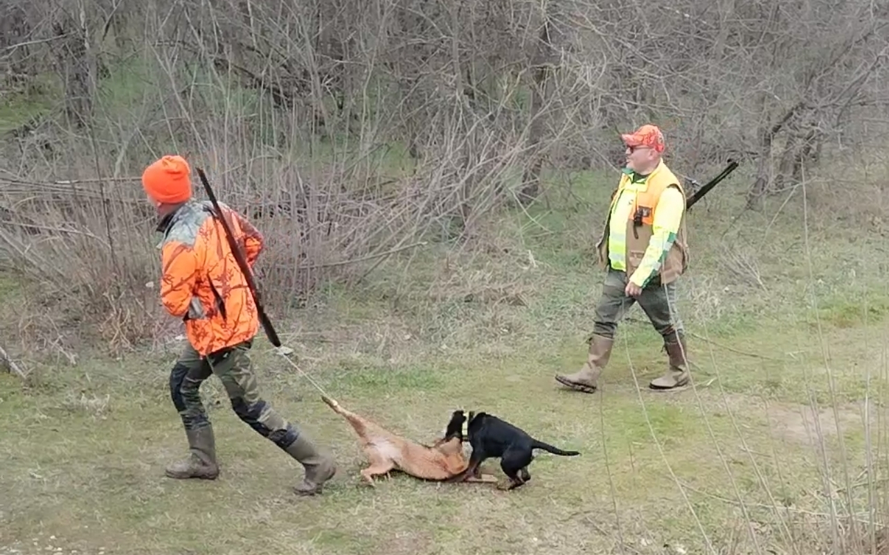 Screenshot 20260222 173548 Viber