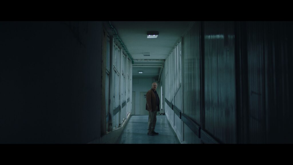 Mačji krik foto Milica Drakulić (1)