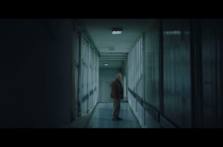 Mačji krik foto Milica Drakulić (1)