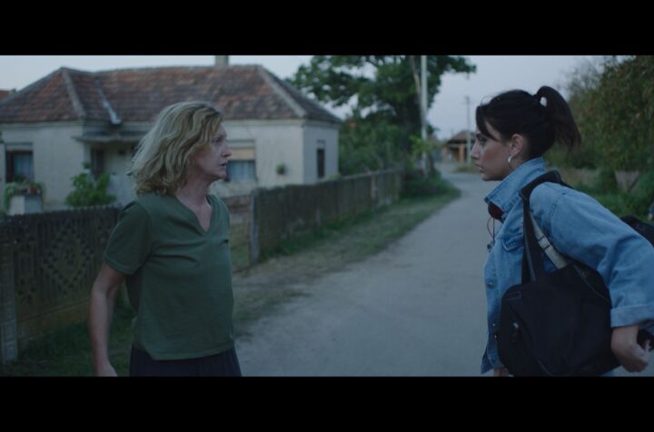 Mačji krik foto Milica Drakulić (3)