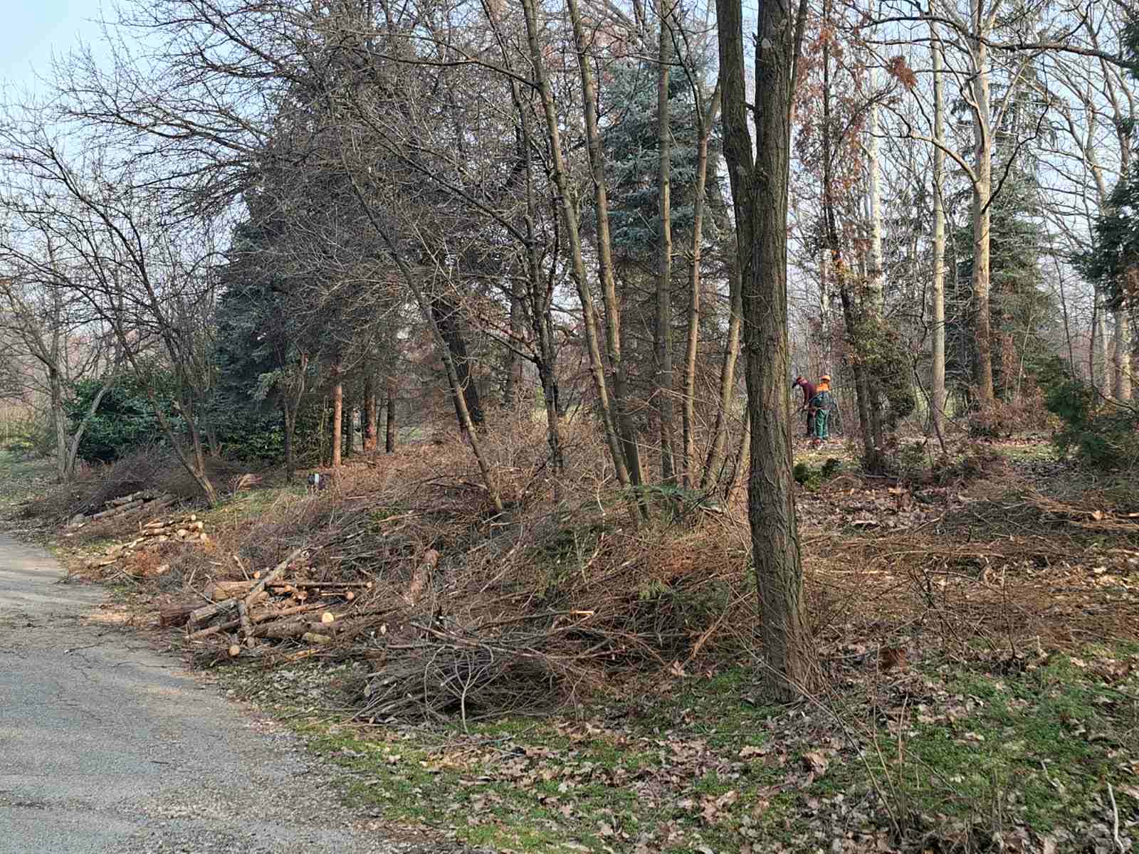 A5df802c 810a 4f7c 9425 83371b66cb4e