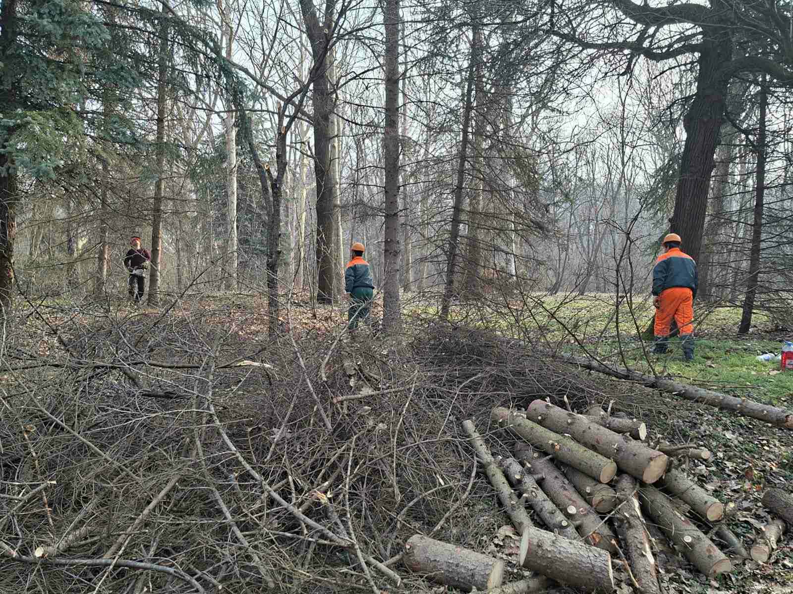 Bf5794de 76fd 4f98 8fe6 28d8b488668f