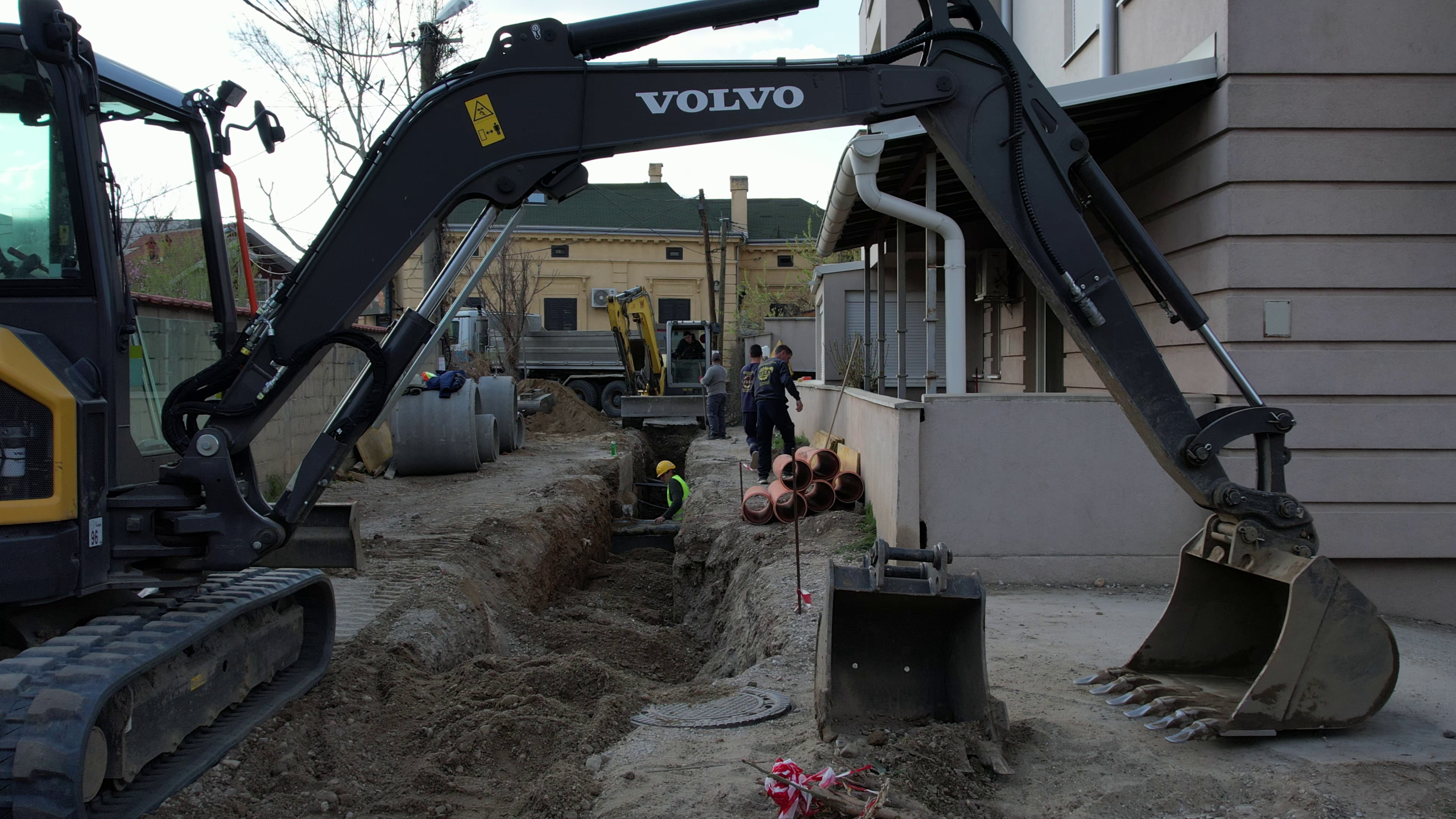 Bojane prvulovic (4)