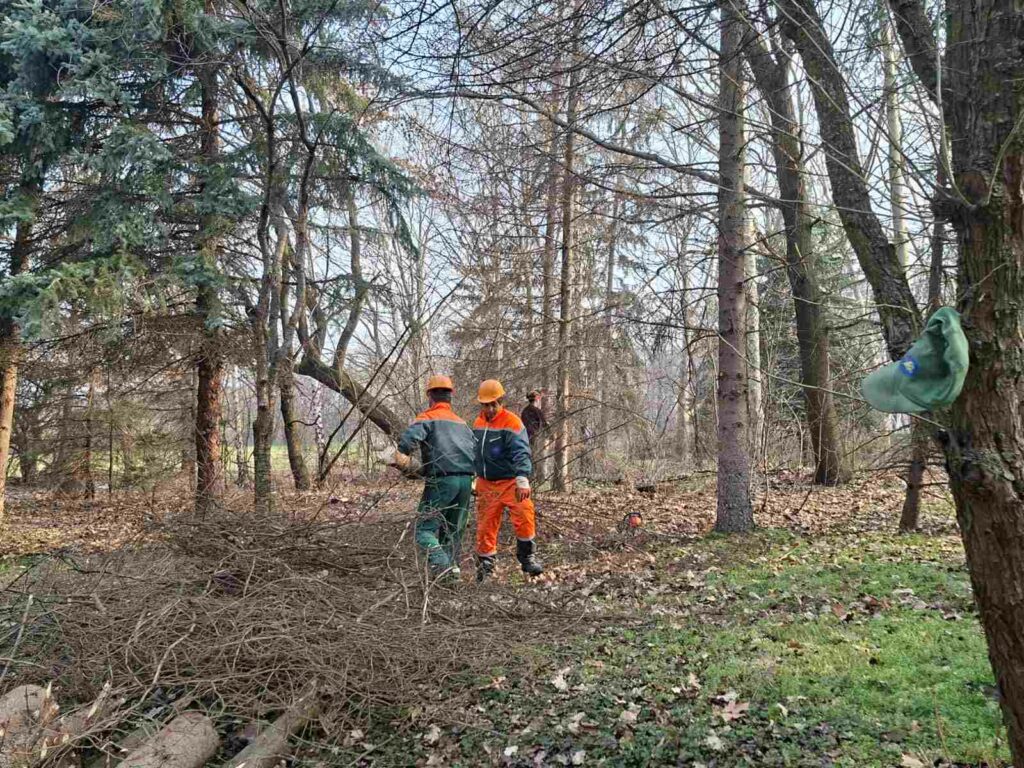 F7511a0f 0924 4952 b95a e24f85bc050b