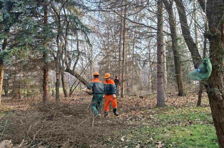 F7511a0f 0924 4952 b95a e24f85bc050b