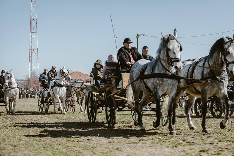 Kasidol trke todorova subota