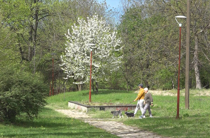 Proleće šetanje psa tulba