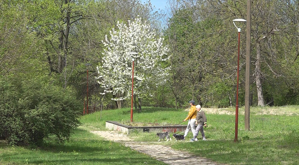 Proleće šetanje psa tulba