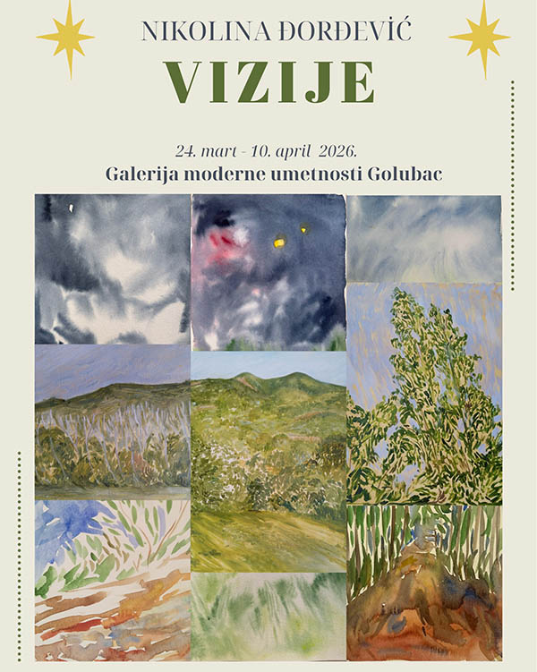 Vizije poster