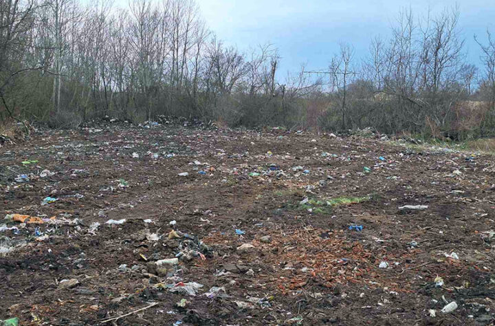 Foto: JKP "Komunalne službe" Požarevac