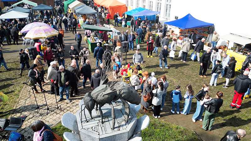 663214882 949097890820713 9082266942410782221 n