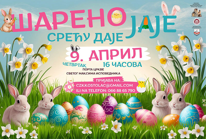 666466563 1378196737674180 3958933989427816678 n