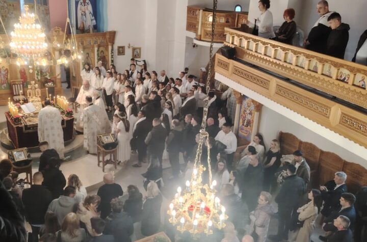 IMG 0506c8cb6282f151d2bb0c2ab98d99a0 V