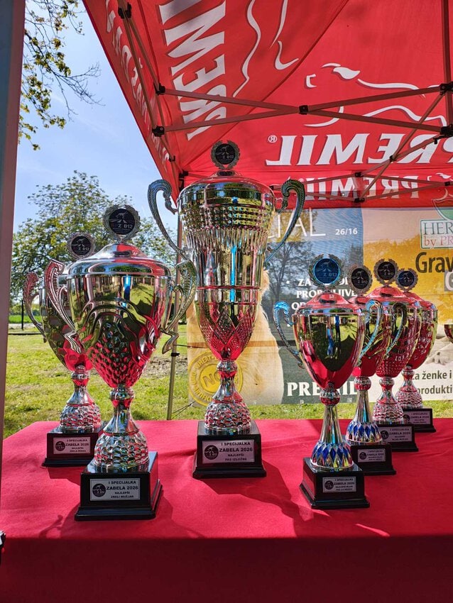 Trofeji za pobednike na sportskom takmičenju u Požarevcu, prikaz ispred crvenog šatora.