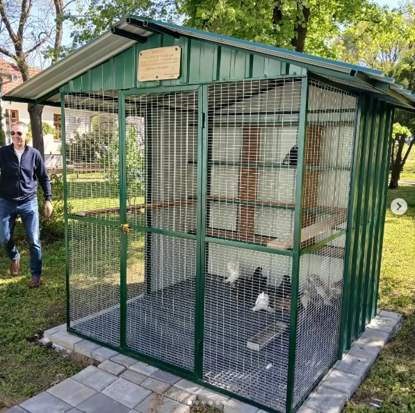 Volijera poljo skola