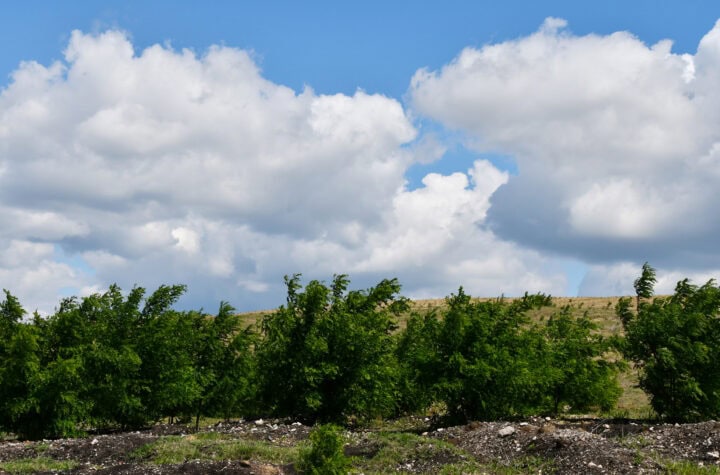 04 Rekultivacija PK Drmno