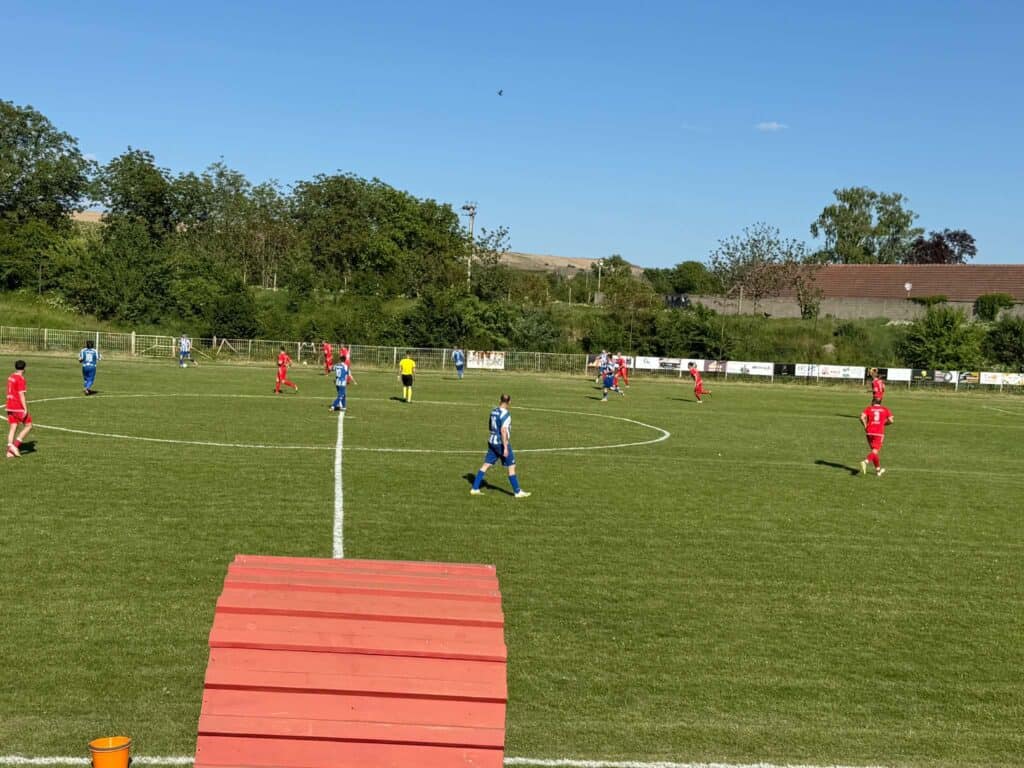 Tim fudbalera igra na zelenom terenu tokom sunčanog dana.