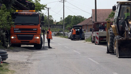 Glišić žabari