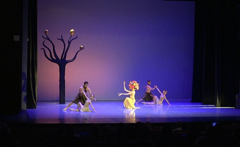Balet viminacijum fest