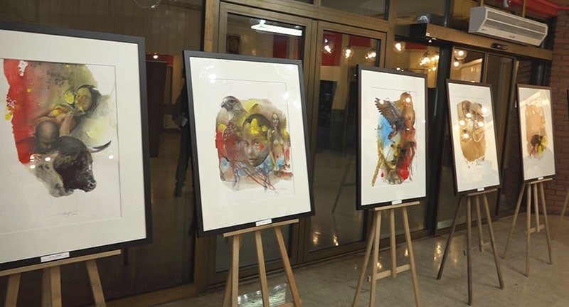 Balet viminacijum fest