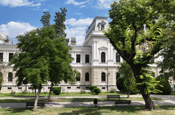 Pozarevac nacelstvo (27)