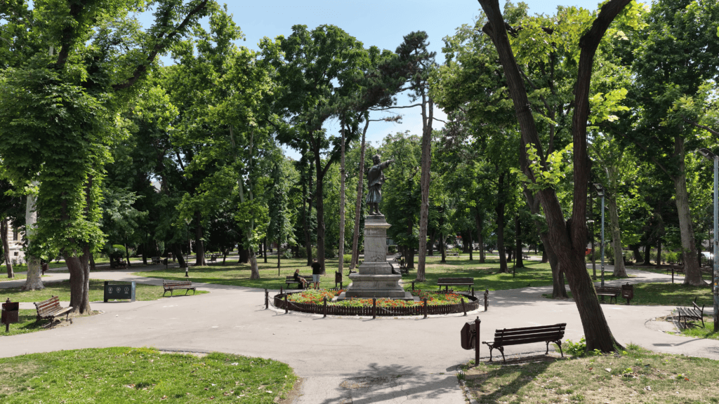 Pozarevac nacelstvo (28)