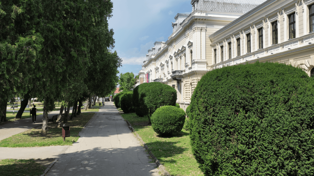 Pozarevac nacelstvo (35)
