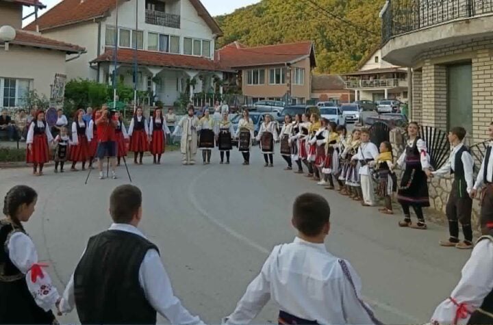 Pantelejmon milanovac
