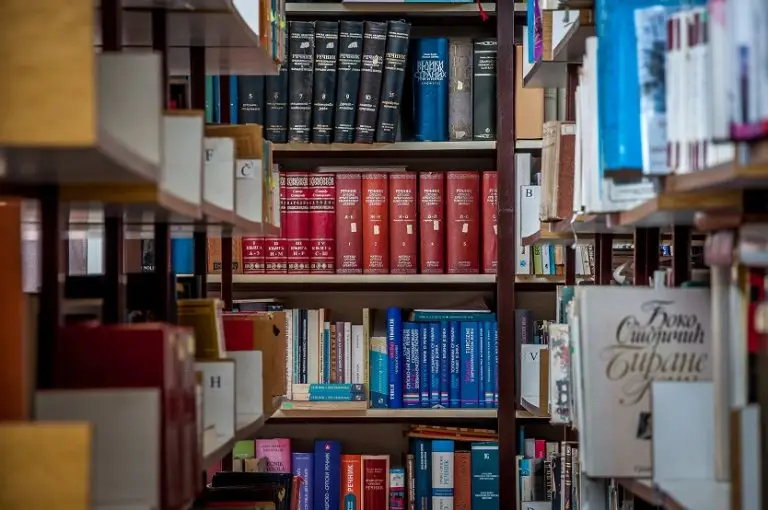 Narodna biblioteka „Stevan Raičković“ Kučevo podržana sa pet projekata Ministarstva kulture