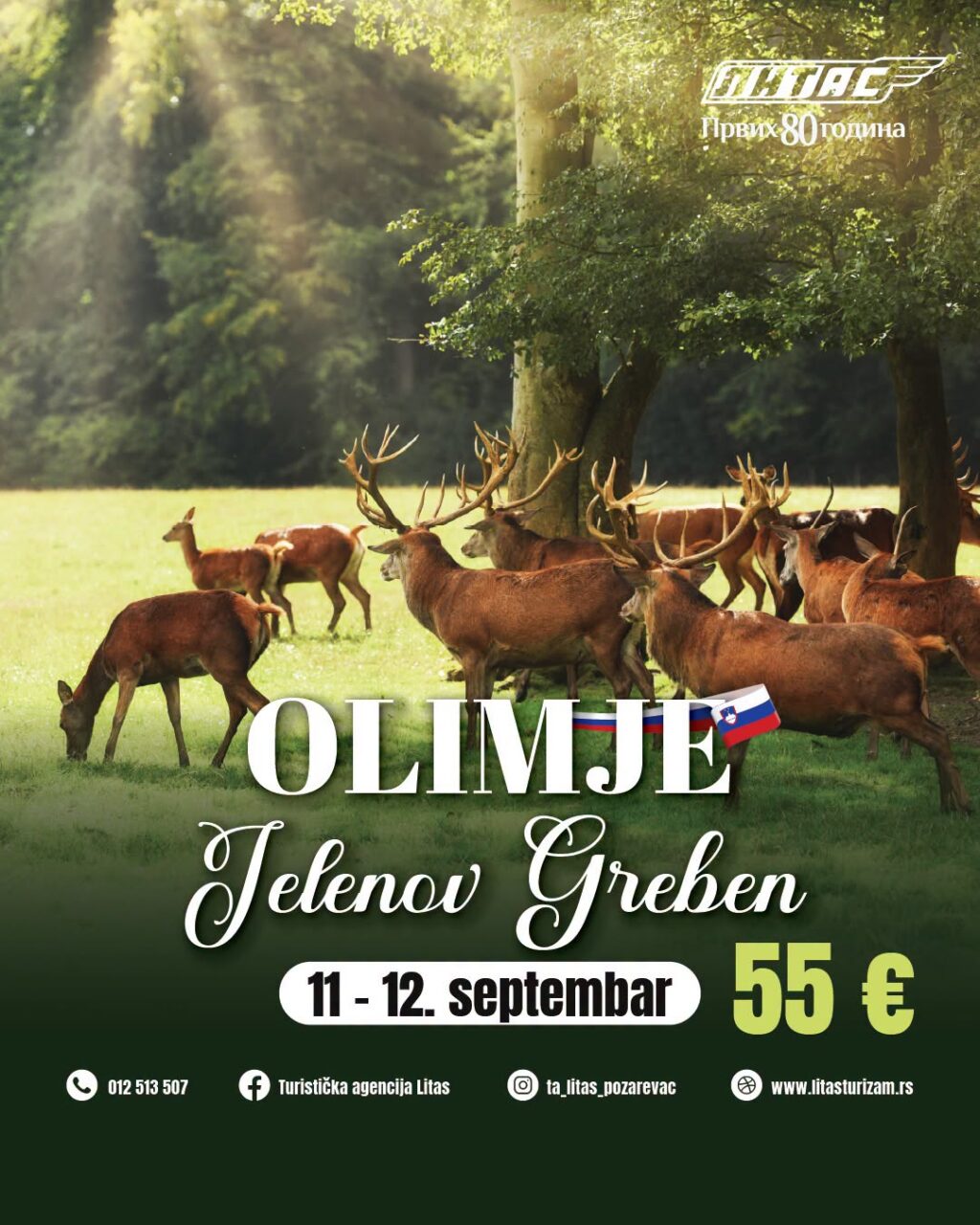 OLIMJE I JELENOV GREBEN – ČAROBAN VIKEND IZLET U SRCU SLOVENIJE