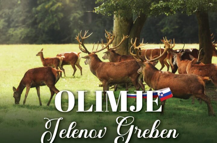 OLIMJE I JELENOV GREBEN – ČAROBAN VIKEND IZLET U SRCU SLOVENIJE