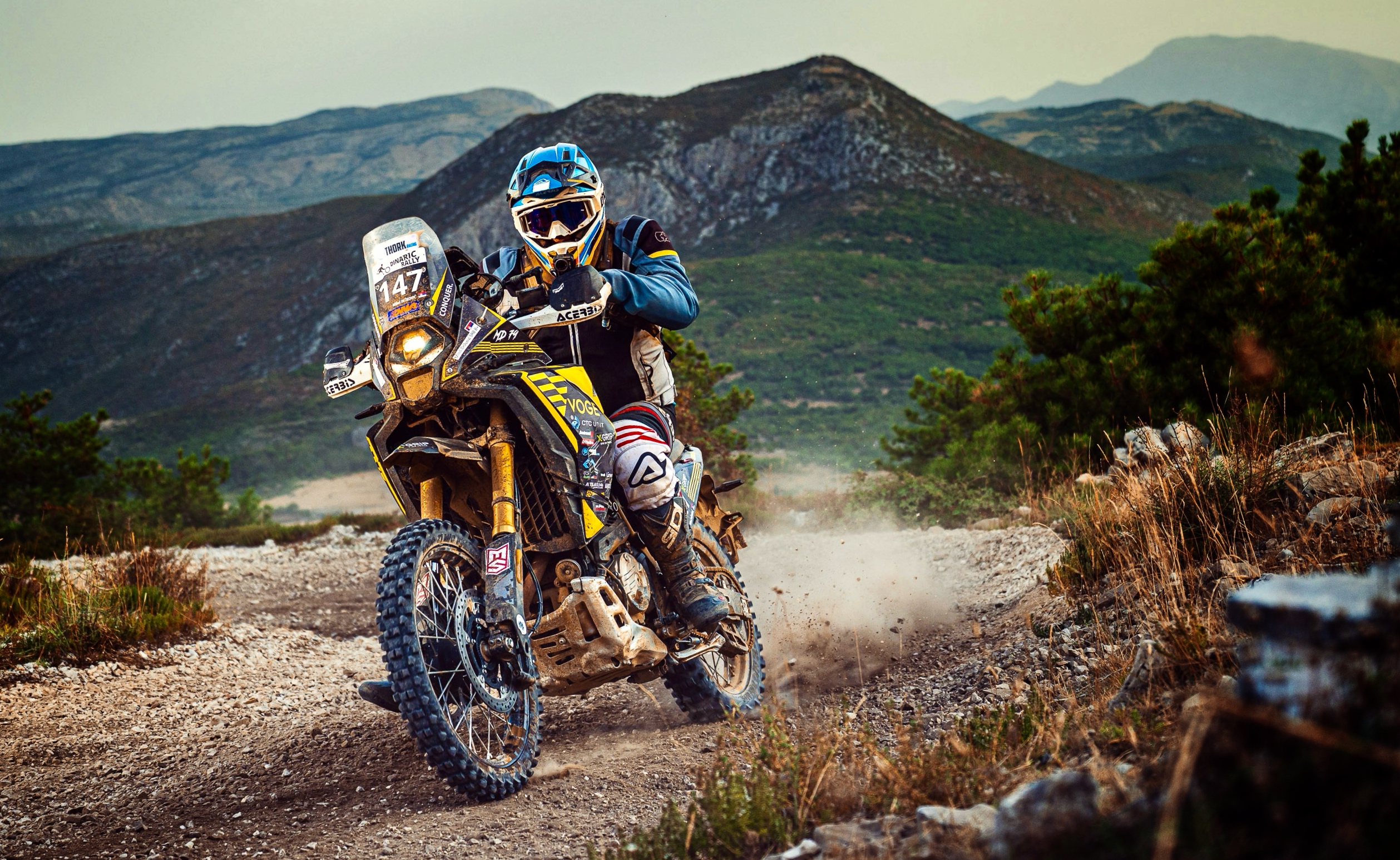 Dinaric Rally 2026 (1)