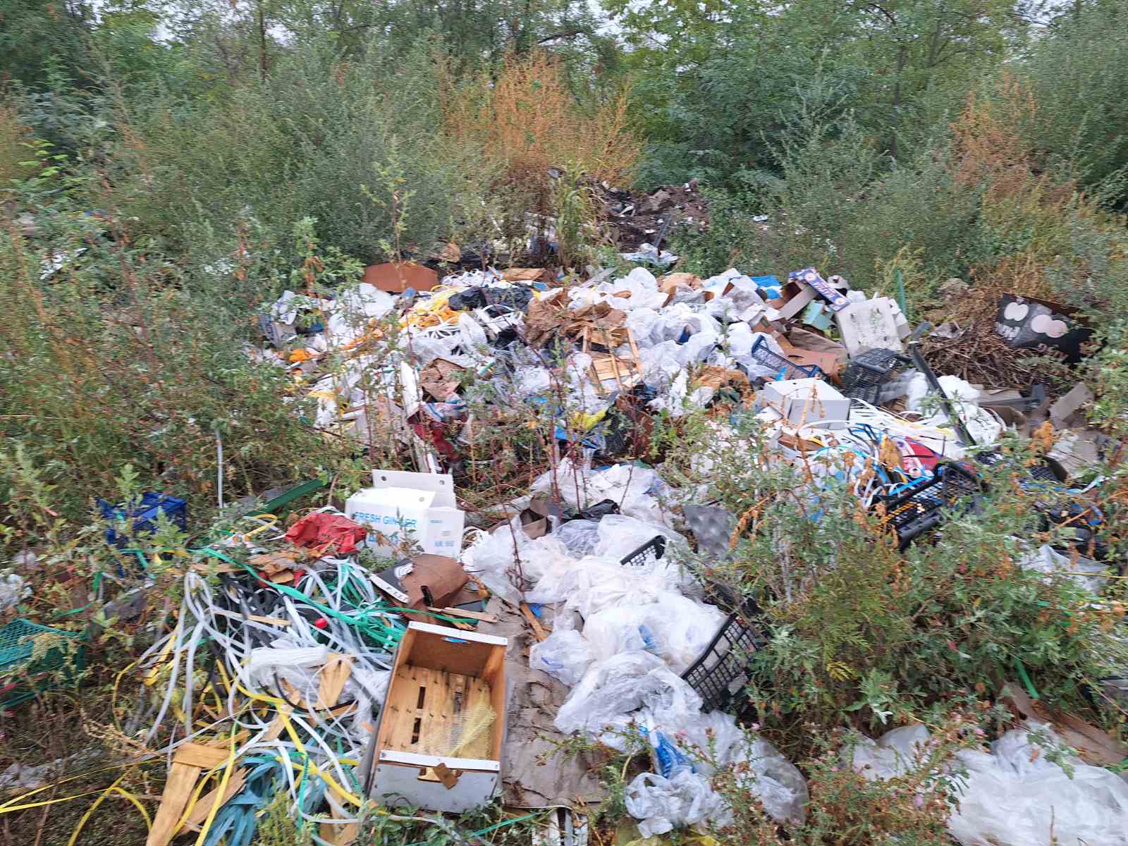 Sanirane divlje deponije u Beranju i Prugovu