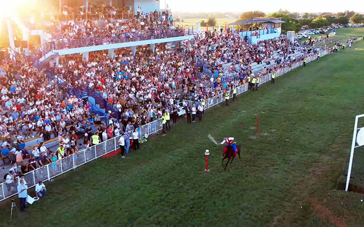 Viseboj ljki