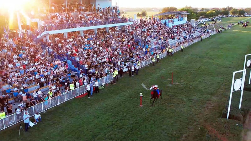 Viseboj ljki