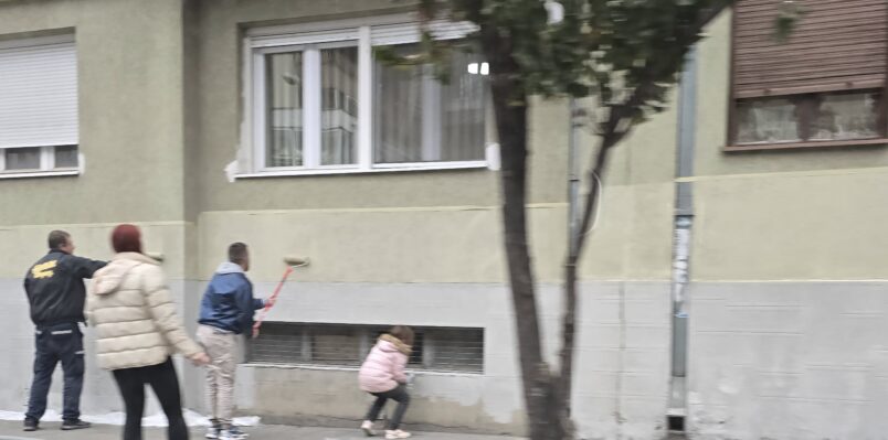Studenti Požarevca sproveli akciju uređenja grada