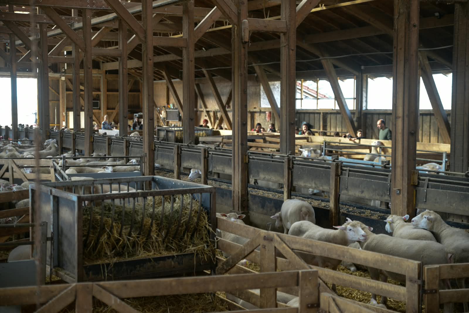 „Hrabrišin orijentiring“ – Dan za pamćenje, ispunjen sportom, znanjem i druženjem u prirodi