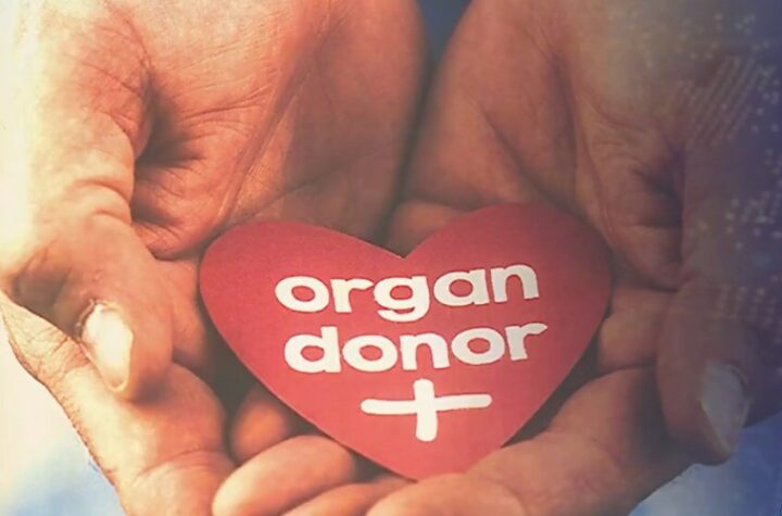 Doniraj organ