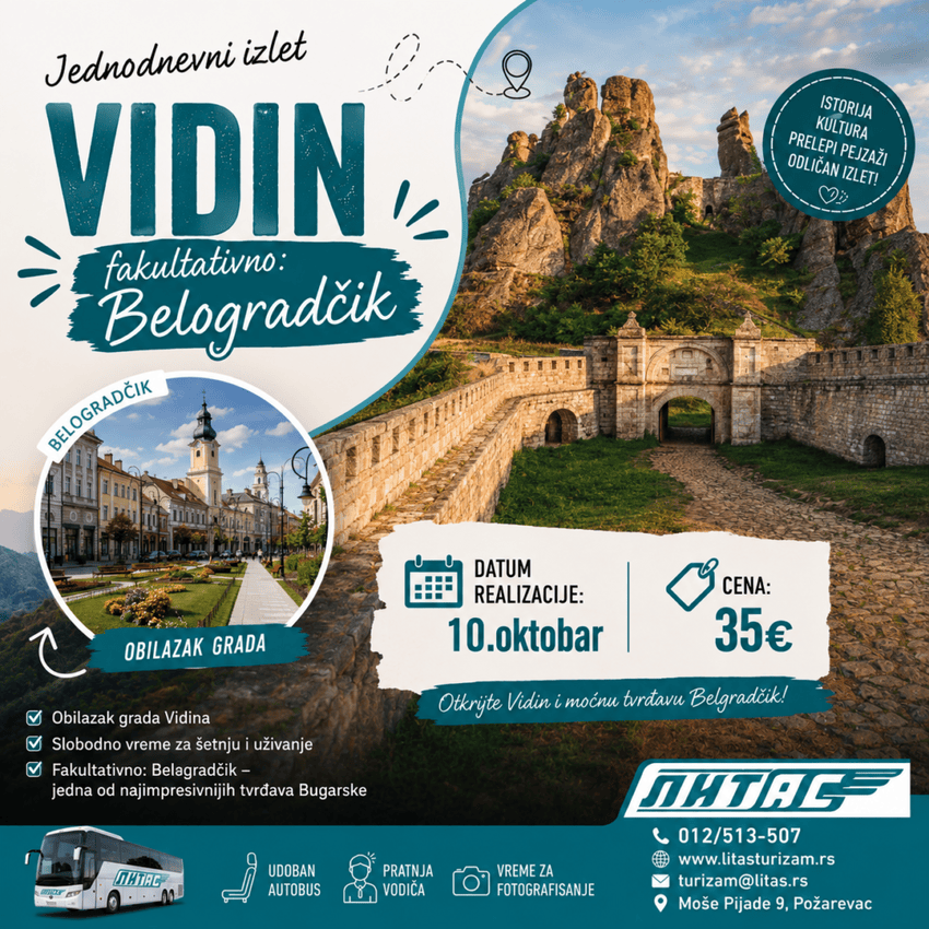 Vidin