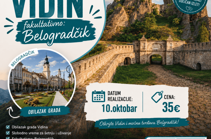 Vidin
